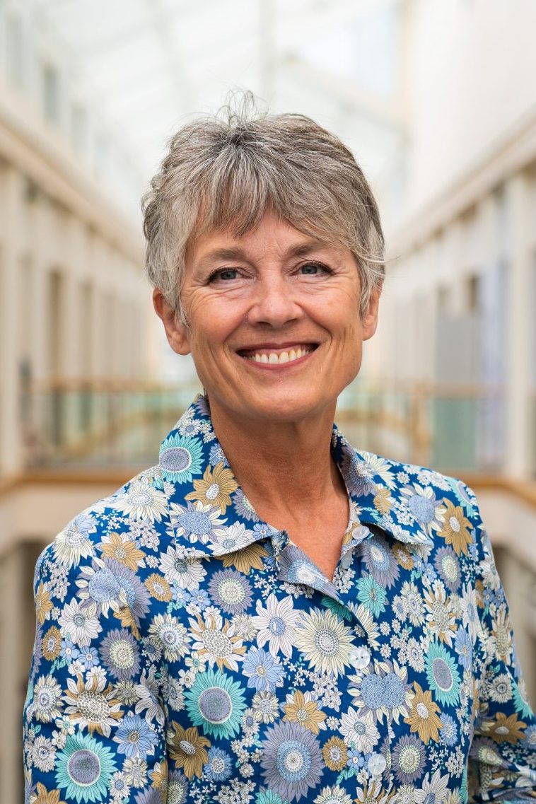 Jane Viner Chair of Governors in South Devon College