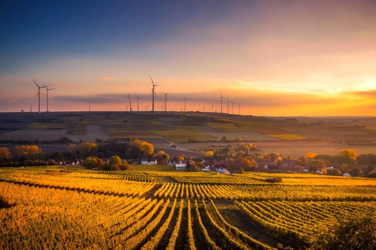 Global Studies and Sustainability - fields and wind turbines in countryside